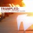 COMPILATION - Trampled: The Elefant Traks Remix Album